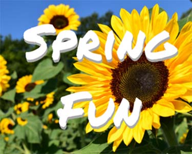 Kids Jacksonville: Spring Fun - Fun 4 First Coast Kids