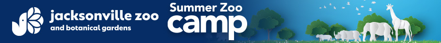 Jacksonville Zoo and Gardens Summer Camp