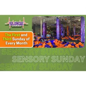 Sensory Sunday.jpg